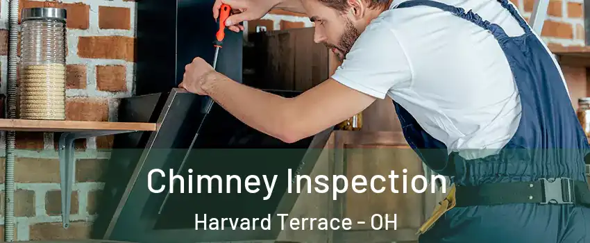 Chimney Inspection Harvard Terrace - OH