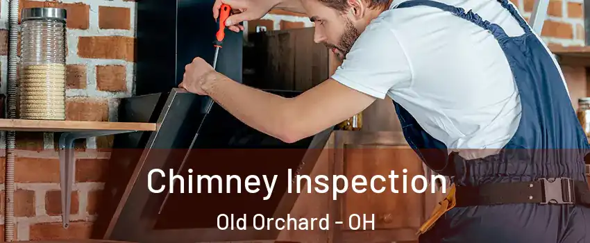 Chimney Inspection Old Orchard - OH