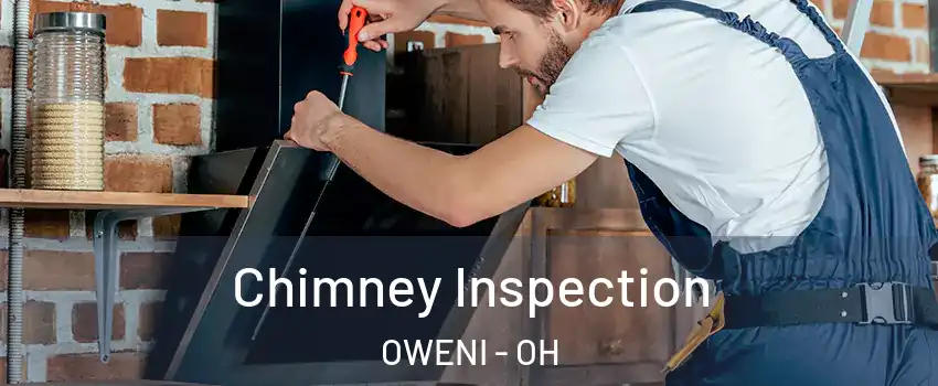 Chimney Inspection OWENI - OH