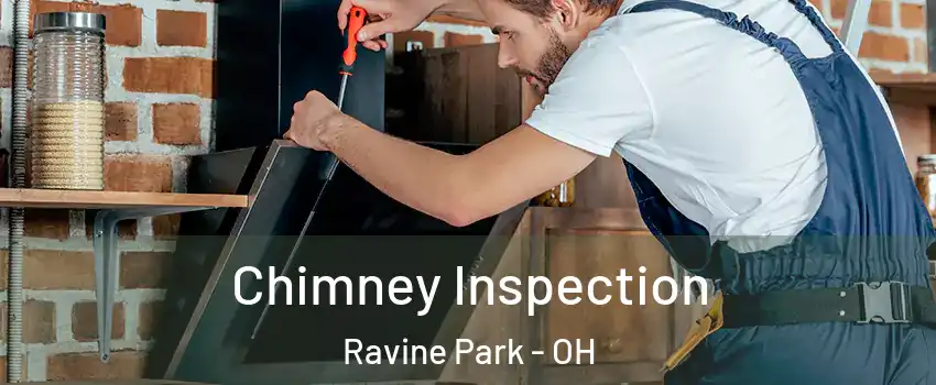 Chimney Inspection Ravine Park - OH