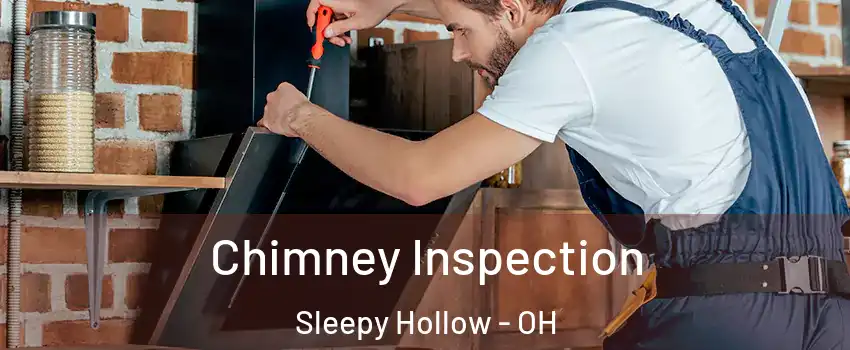 Chimney Inspection Sleepy Hollow - OH