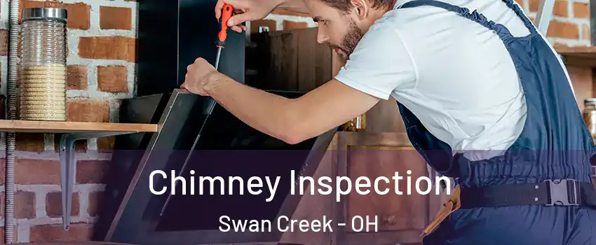 Chimney Inspection Swan Creek - OH