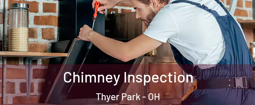 Chimney Inspection Thyer Park - OH