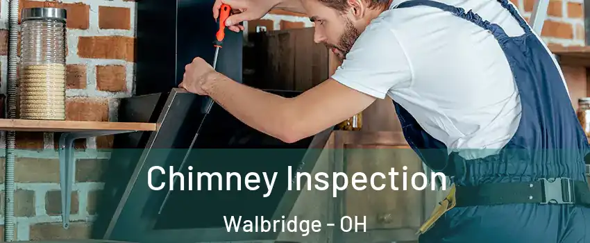 Chimney Inspection Walbridge - OH