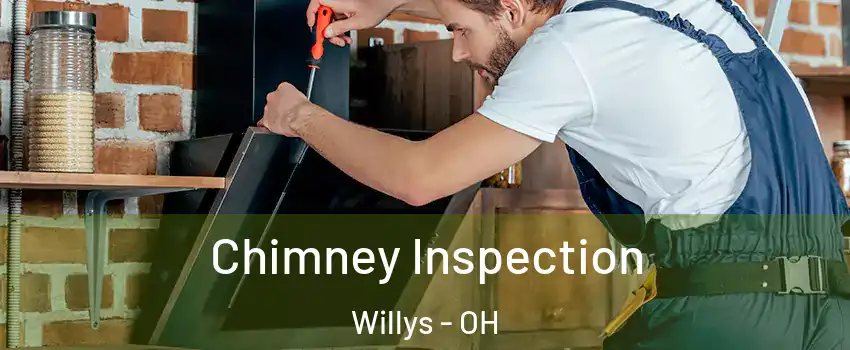 Chimney Inspection Willys - OH