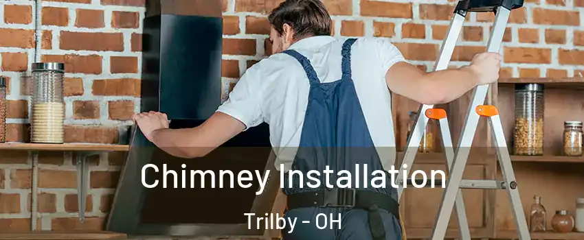 Chimney Installation Trilby - OH