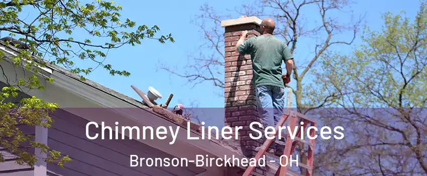 Chimney Liner Services Bronson-Birckhead - OH