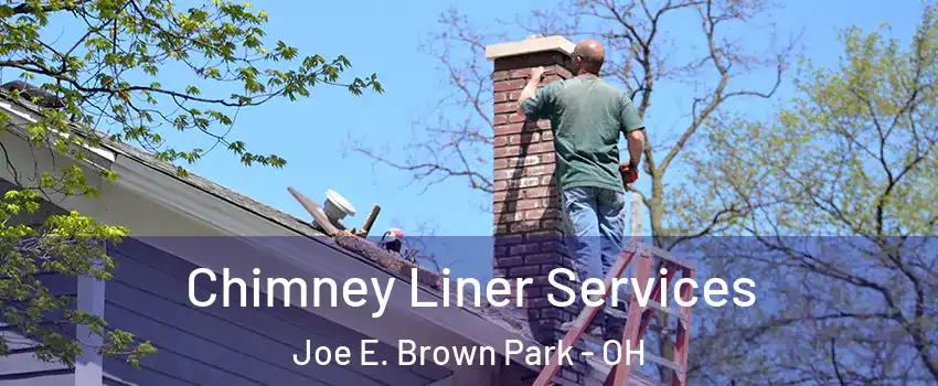 Chimney Liner Services Joe E. Brown Park - OH