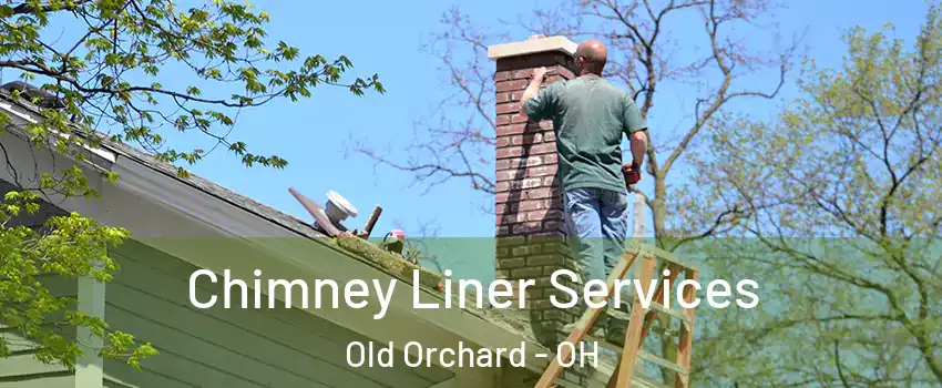 Chimney Liner Services Old Orchard - OH