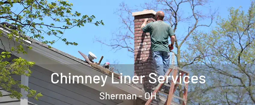 Chimney Liner Services Sherman - OH