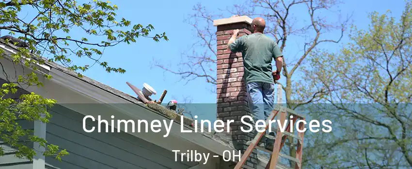 Chimney Liner Services Trilby - OH