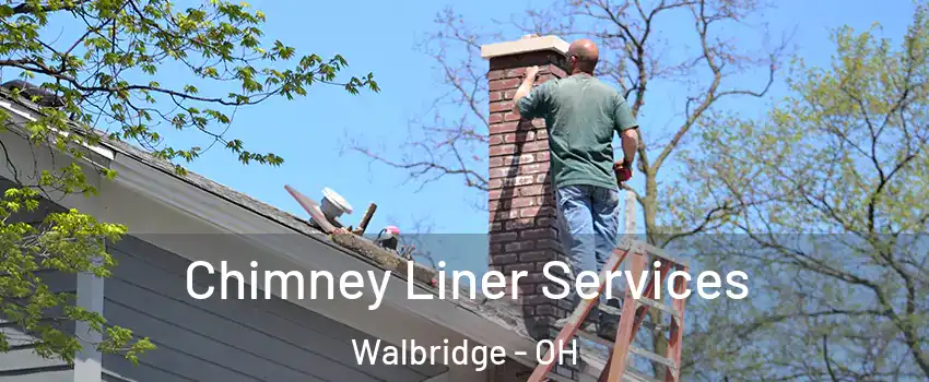 Chimney Liner Services Walbridge - OH