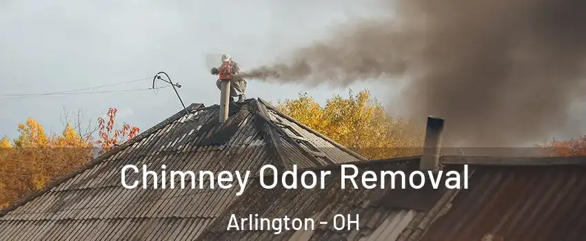 Chimney Odor Removal Arlington - OH