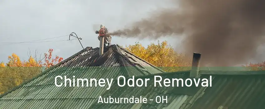 Chimney Odor Removal Auburndale - OH