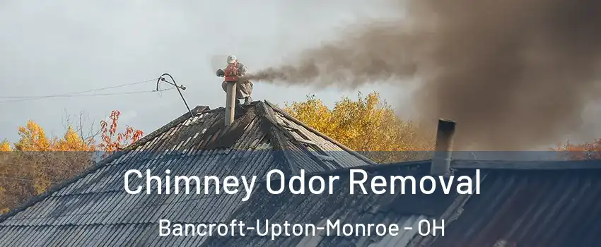 Chimney Odor Removal Bancroft-Upton-Monroe - OH