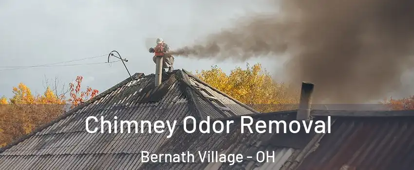 Chimney Odor Removal Bernath Village - OH