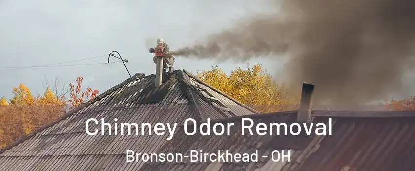 Chimney Odor Removal Bronson-Birckhead - OH