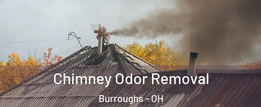 Chimney Odor Removal Burroughs - OH