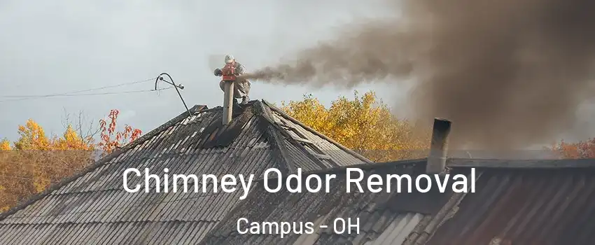 Chimney Odor Removal Campus - OH