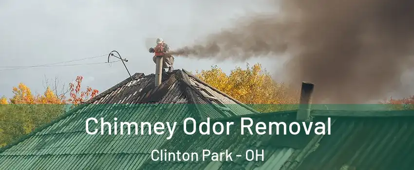Chimney Odor Removal Clinton Park - OH