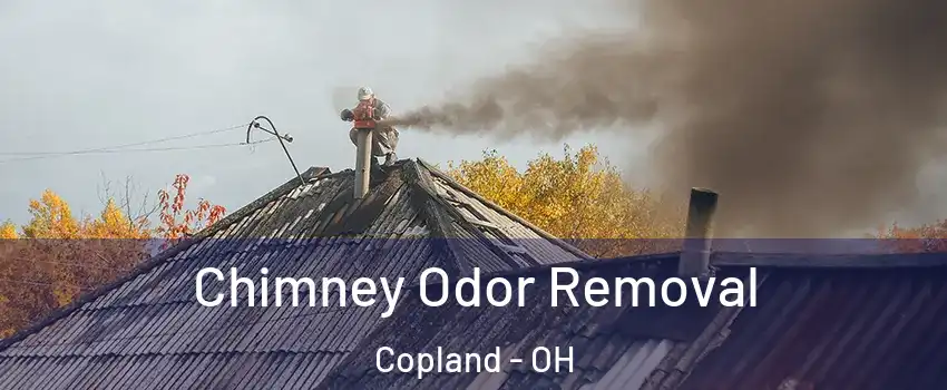 Chimney Odor Removal Copland - OH