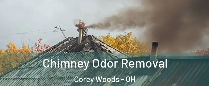 Chimney Odor Removal Corey Woods - OH
