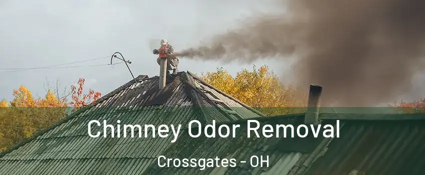 Chimney Odor Removal Crossgates - OH