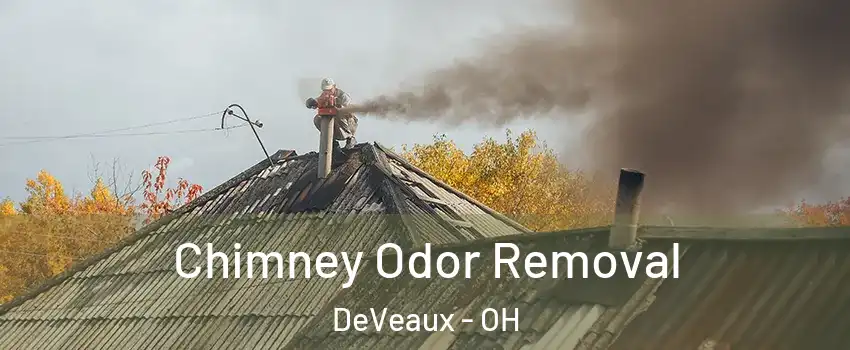 Chimney Odor Removal DeVeaux - OH