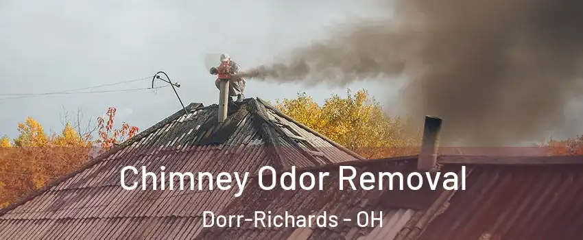 Chimney Odor Removal Dorr-Richards - OH