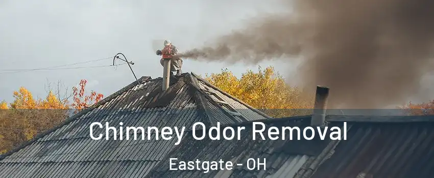 Chimney Odor Removal Eastgate - OH