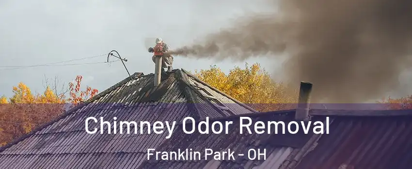 Chimney Odor Removal Franklin Park - OH