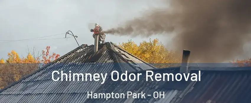 Chimney Odor Removal Hampton Park - OH