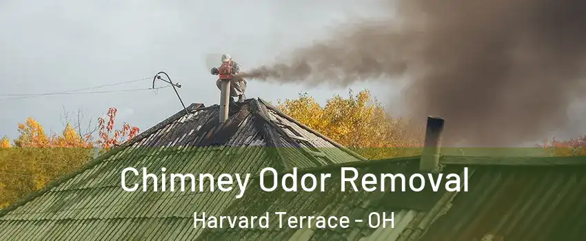 Chimney Odor Removal Harvard Terrace - OH