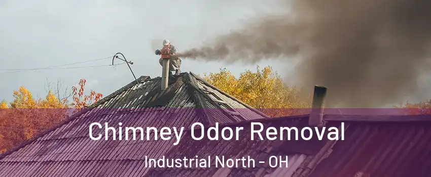Chimney Odor Removal Industrial North - OH