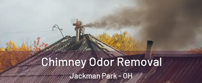 Chimney Odor Removal Jackman Park - OH