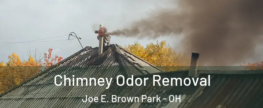 Chimney Odor Removal Joe E. Brown Park - OH