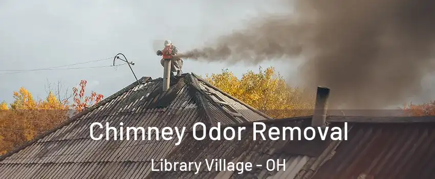 Chimney Odor Removal Library Village - OH