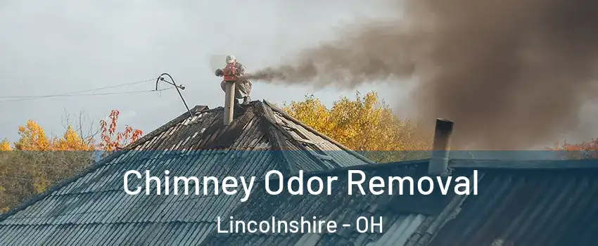 Chimney Odor Removal Lincolnshire - OH