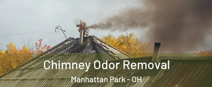 Chimney Odor Removal Manhattan Park - OH