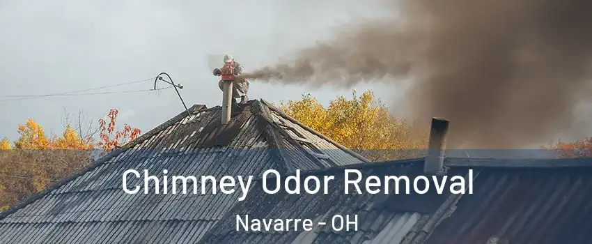 Chimney Odor Removal Navarre - OH