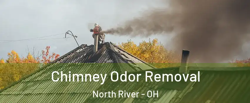 Chimney Odor Removal North River - OH