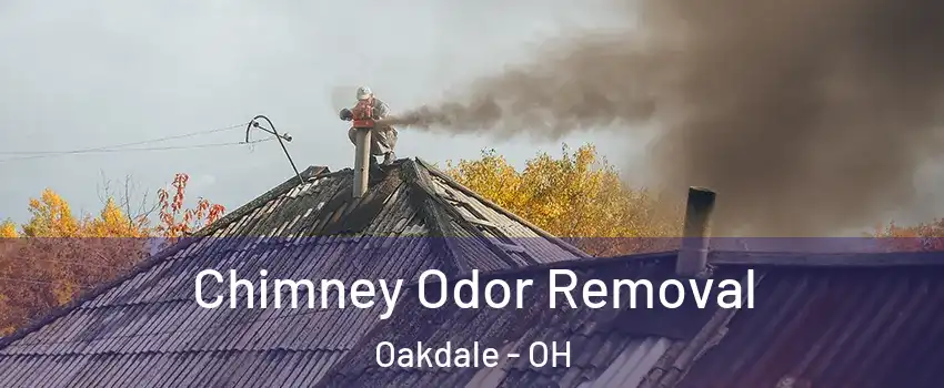 Chimney Odor Removal Oakdale - OH