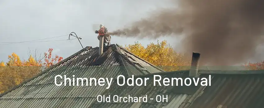 Chimney Odor Removal Old Orchard - OH