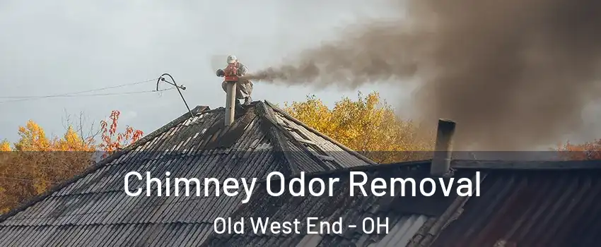Chimney Odor Removal Old West End - OH