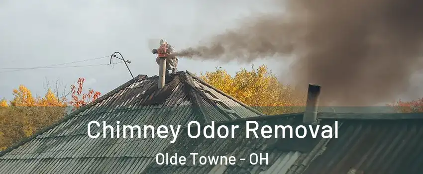 Chimney Odor Removal Olde Towne - OH