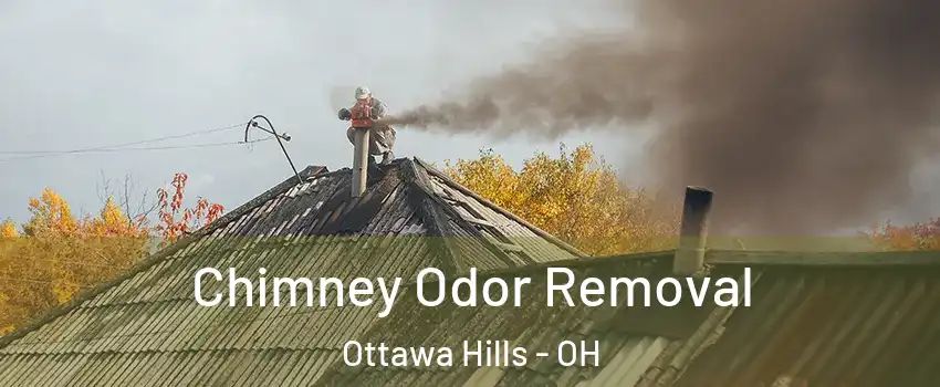 Chimney Odor Removal Ottawa Hills - OH