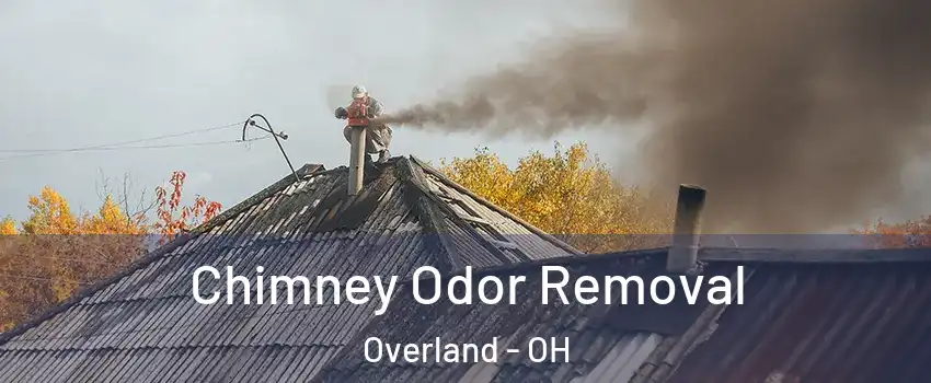 Chimney Odor Removal Overland - OH