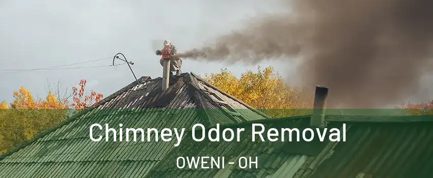 Chimney Odor Removal OWENI - OH