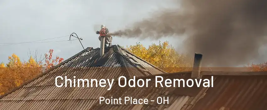 Chimney Odor Removal Point Place - OH