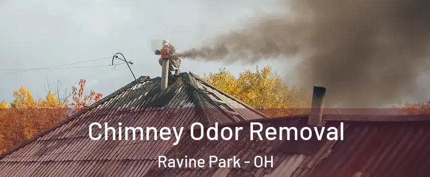 Chimney Odor Removal Ravine Park - OH